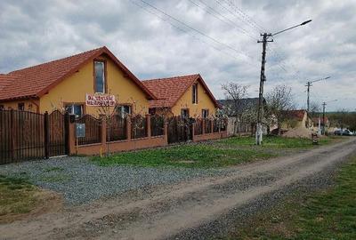 Casă cu 3 camere cu Teren 600 Mp în Vinga - 9