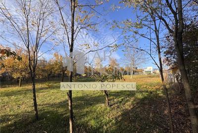 Teren intravilan, in Paulesti, Prahova - 7