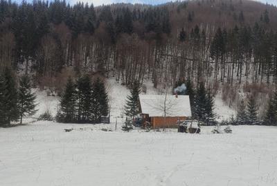 Teren de 9172 mp, în Pintic - 4