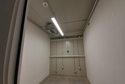 Catelu - Spatiu pentru depozitare cu temperatura controlata - 10