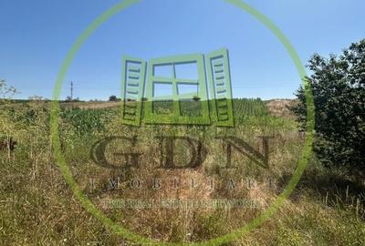 Teren intravilan, 5000 MP, Isalnita - 1