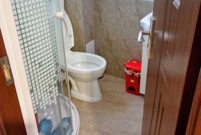 VIla cu 5 camere in zona Mosilor-Obor - 8