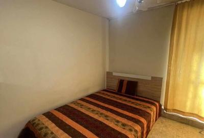 Apartament cu 2 camere de inchiriat in zona Rahova - 2