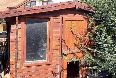 Corbeanca,vila amenajata deosebit,teren 500 mp,crama,foisor,vegetatie matura - 11