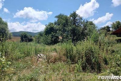 Cas? in Zona de Munte - Gladna Roman? Fardea Timi? Cas? in Zona de Munte - Gladna Roman? Fardea Timi? - 20