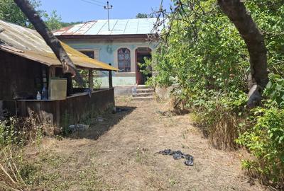 Casă cu 3 camere cu Teren 10000 Mp în Răduțești - 4