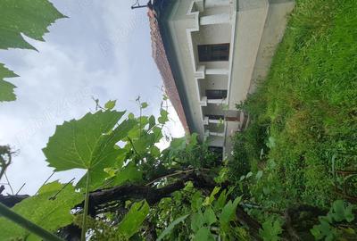 Proprietar vand casa 4 camere, canalizare, apa re?ea, Hotarani - 4 km de Vanju Mare - 1