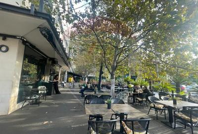 Spa?iu birouri/Sediu firma de vanzare Parcul Carol - 13