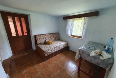 Casă cu 3 camere în Slătioara