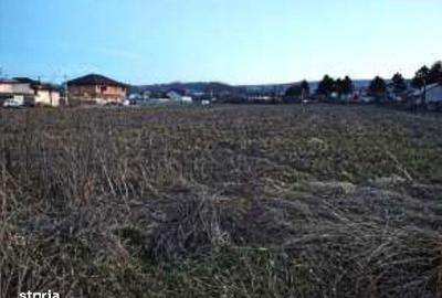 Spațiu comercial, în Tomești - 3