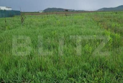 Teren pentru casa intravilan , 800 mp deschidere la drum Bod - 6