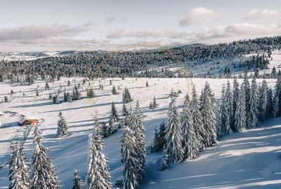 Terenuri cu PUZ, 700 - 1000+ mp, in Marisel, la 400 m de partia de Ski - 8