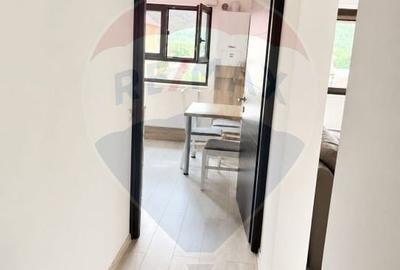 Apartament cu 2 camere, mobilat în Central - 2