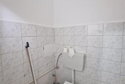 RECO spatiu comercial Dragos Voda - 10