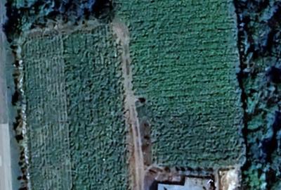 Casă cu Teren 500 Mp în Zlata - 1