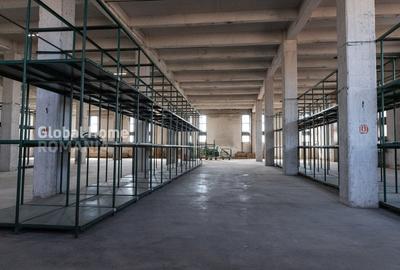 Spatiu comerical-birouri-productie-showroom | 1000 MP - 3000 MP | APACA-AFI Mall - 15