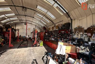 Casa individuala, 160 mp cu atelier auto 110 mp, in Utvin - 7