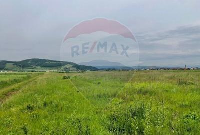 Teren Construcții intravilan de 538 mp, în Hărman - 1