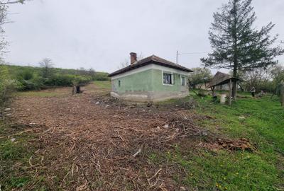Casă cu 2 camere în Goiești - 2