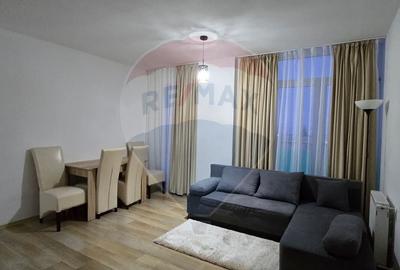 Apartament cu 2 camere de inchiriat Vivalia  zona Aurel Vlaicu - 14