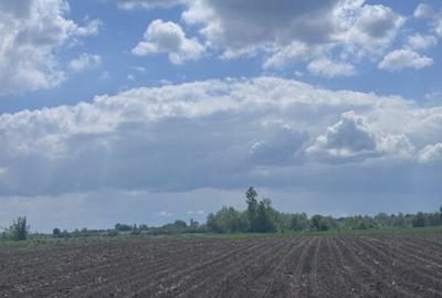 Teren extravilan, 7800mp, Burla - 4