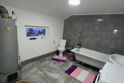 Se vinde Casa in Plaiul ?arului - 7