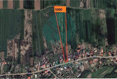 Teren Construcții intravilan de 5000 mp, în Siliștea Snagovului