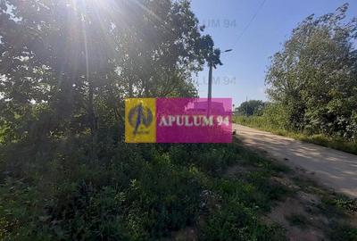 Teren Construcții intravilan de 5000 mp, în Copăceni - 10