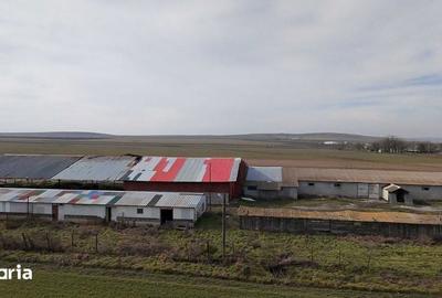 Teren de 4300 mp, în Jurilovca - 3