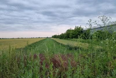 Teren de 4575 mp, în Filipeștii de Târg - 6