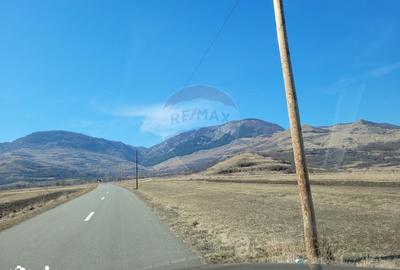 Teren de 1271 mp, în Livezile - 13