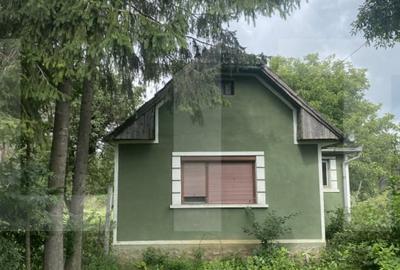 Casa traditionala cu teren generos - Belin