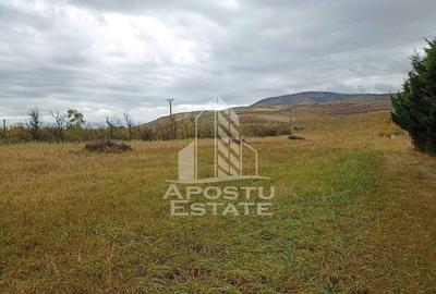 Teren 3800 Mp Ghioroc cu Utilitati - 2