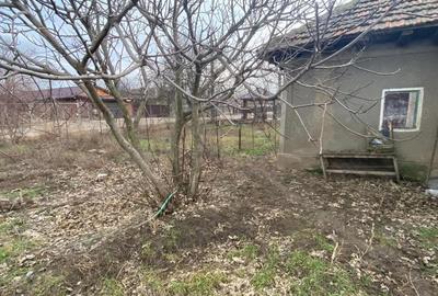 Casă cu Teren 1300 Mp în Central - 3