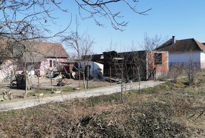 Spațiu comercial, în Lazuri - 3