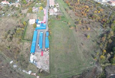 Teren de 8540 mp, în Plopi - 3