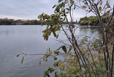 Green Lake | Lacul Baneasa | Sisesti | Vila cu 4 apartamente - 14