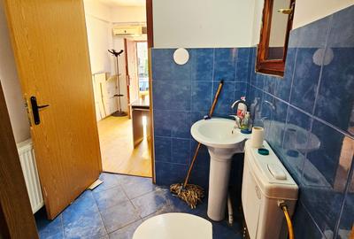 Vanzare proprietate mixtă – Casă + spațiu birou, Ultracentral - 40