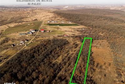 Spațiu comercial, în Săldăbagiu de Munte