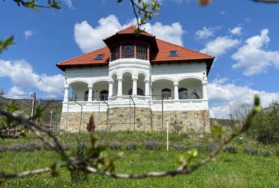 Casă individuală cu 10 camere cu Canalizare în Arefu - 4