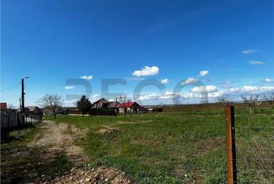 RECO Teren intravilan, Episcopia, Oradea, Bihor - 2