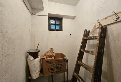 Ansamblu imobiliar, 2 corpuri, cu spațiu comercial, în Timișoara, zona Crișan - 23