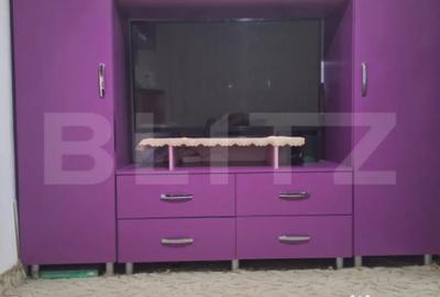 Apartament cu 3 camere semidecomandat în Valea Rosie - 10