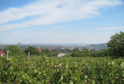 Teren de 4500 mp, în Central