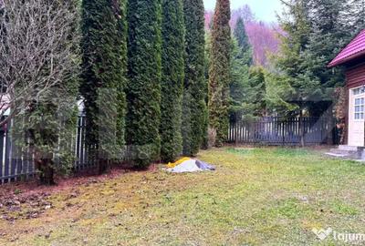Casă cu 4 camere cu Teren 500 Mp în Colibița - 12