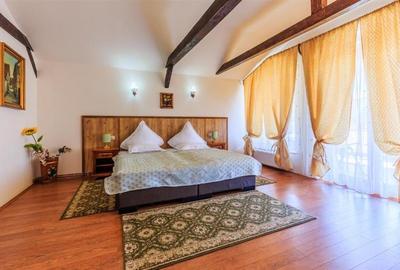 Hotel Bielmann,unicitate si profitabilitate optima in turism,Sanpetru, Brasov - 46