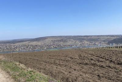 Teren de 3755 mp, în Șorogari - 8