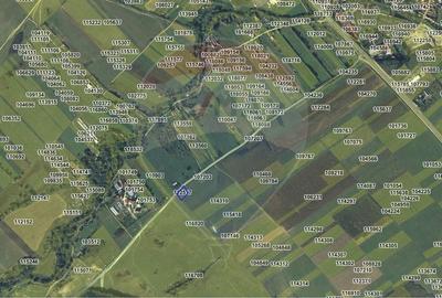 Teren agricol extravilan de 1650 mp, în Șelimbăr - 2