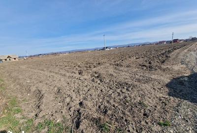 Teren de 710 mp, în Calea Bârladului - 3