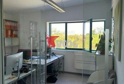 Proprietate Industriala 7000 mp hala in Calea Sagului Timisoara - 11